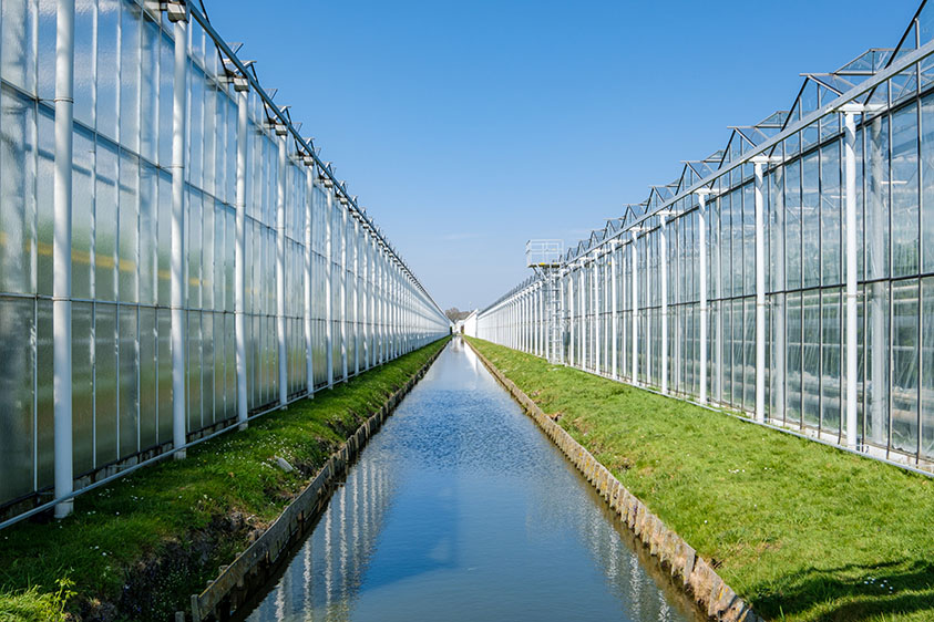 Groenvoorziening